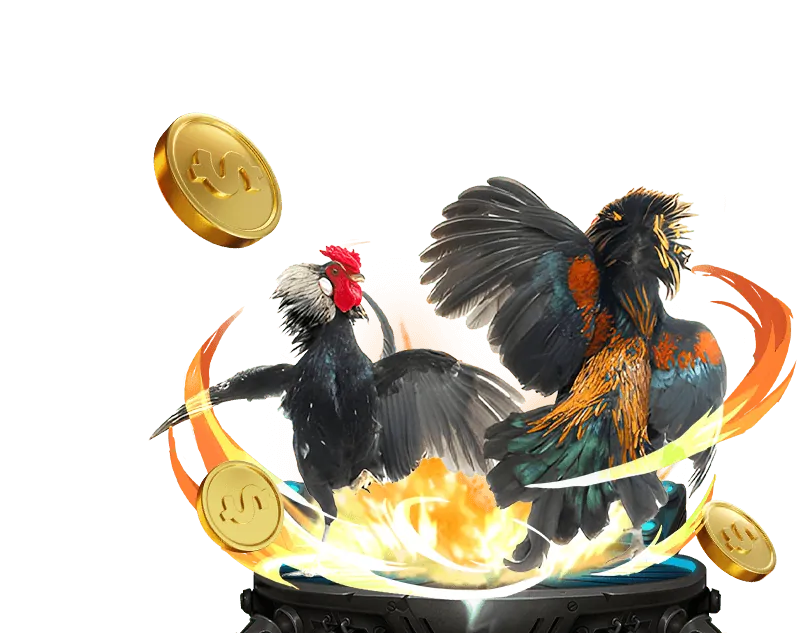 Tổng quan Điều Khoản Dịch Vụ bet6789